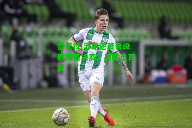 雷竞技:波黑逆袭晋级欧预赛决赛，战胜土耳其