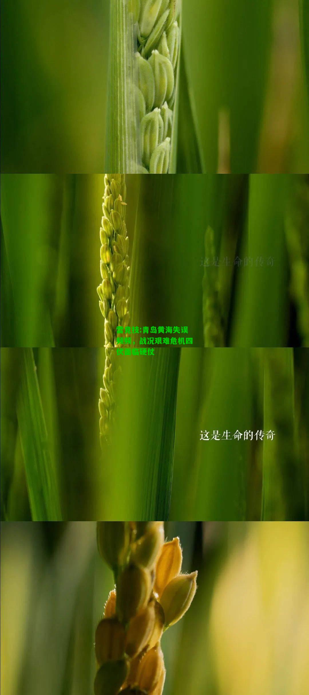雷竞技:青岛黄海失误频频，战况艰难危机四伏面临硬仗