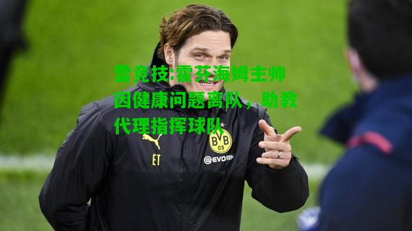 雷竞技:霍芬海姆主帅因健康问题离队，助教代理指挥球队