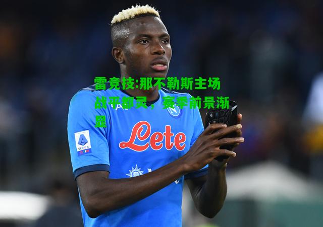 雷竞技:那不勒斯主场战平都灵，赛季前景渐显