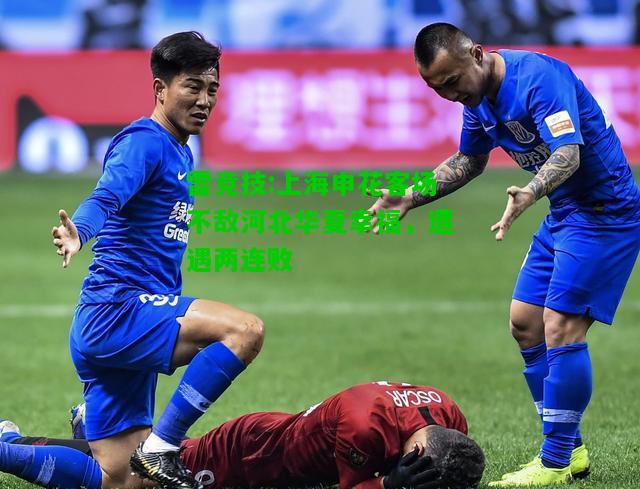 雷竞技:上海申花客场不敌河北华夏幸福，遭遇两连败