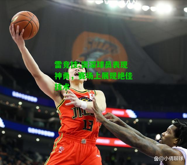 雷竞技:资深球员表现神勇，赛场上展现绝佳技术