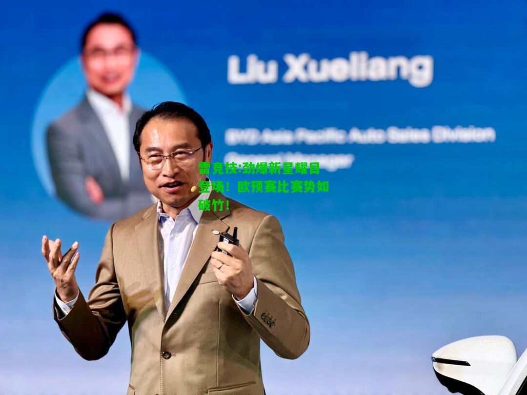 雷竞技:劲爆新星耀目登场！欧预赛比赛势如破竹！
