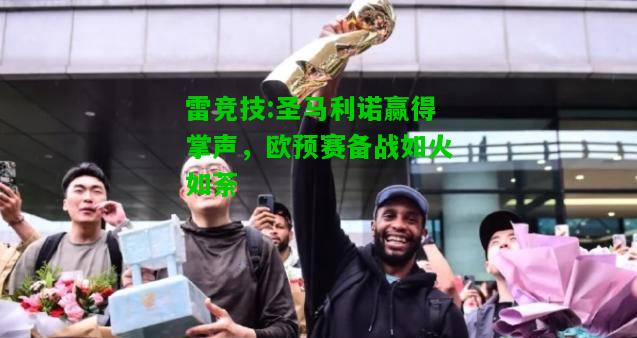 雷竞技:圣马利诺赢得掌声，欧预赛备战如火如荼