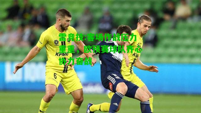 雷竞技:客场作战压力重重，欧预赛球队齐心协力奋战