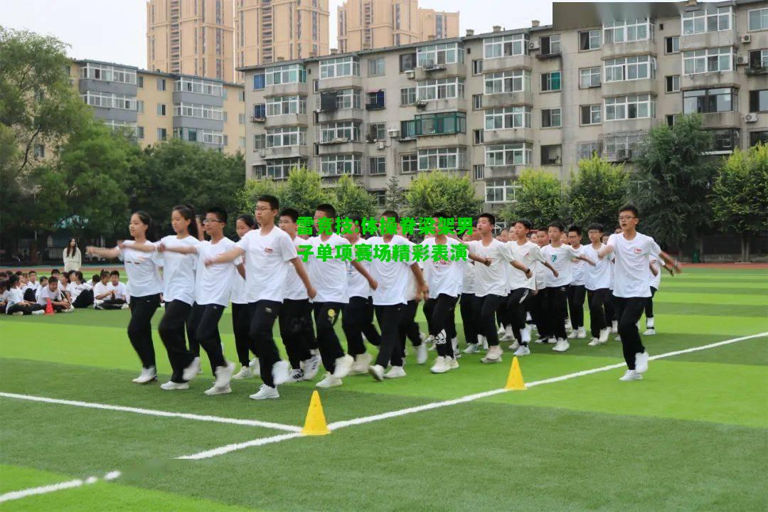 雷竞技:体操脊梁架男子单项赛场精彩表演