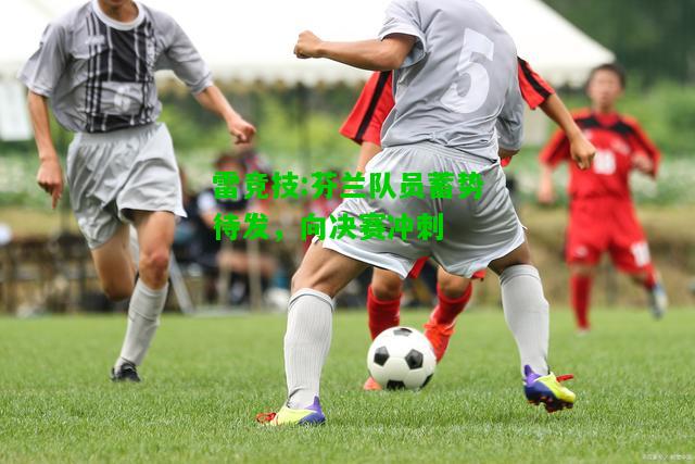 雷竞技:芬兰队员蓄势待发，向决赛冲刺