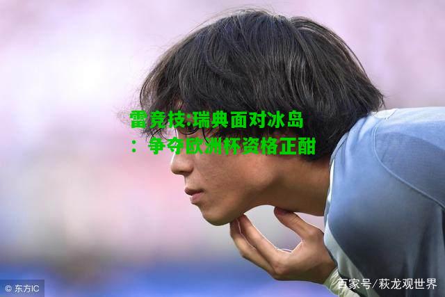 雷竞技:瑞典面对冰岛：争夺欧洲杯资格正酣