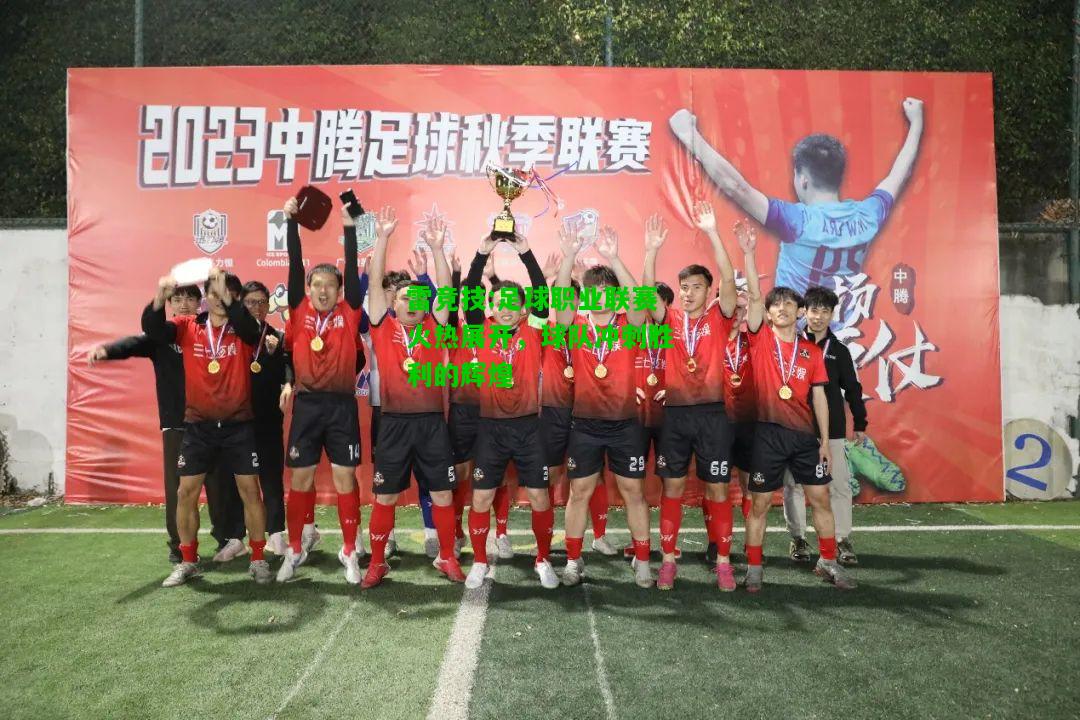 雷竞技:足球职业联赛火热展开，球队冲刺胜利的辉煌