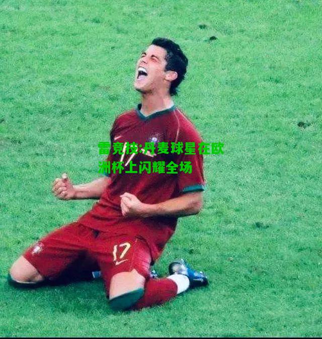 雷竞技:丹麦球星在欧洲杯上闪耀全场