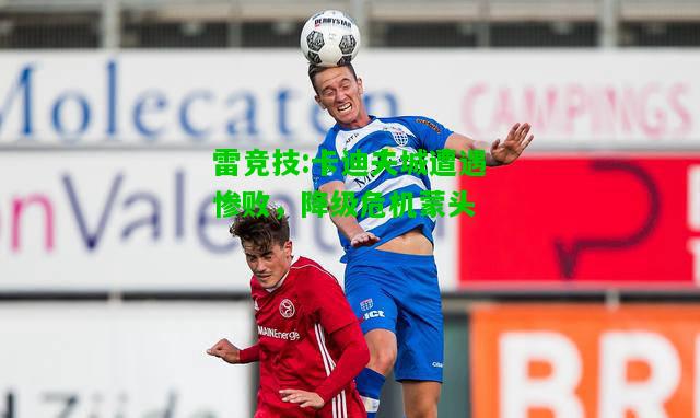 雷竞技:卡迪夫城遭遇惨败，降级危机蒙头