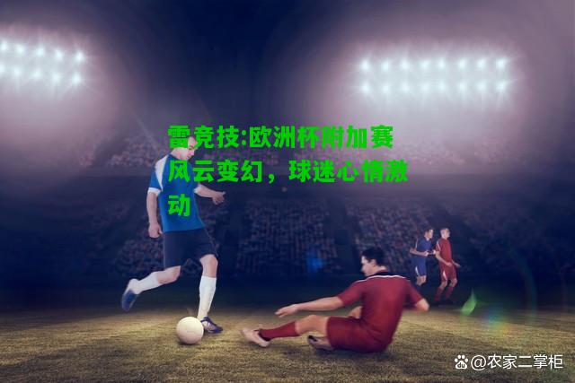 雷竞技:欧洲杯附加赛风云变幻，球迷心情激动