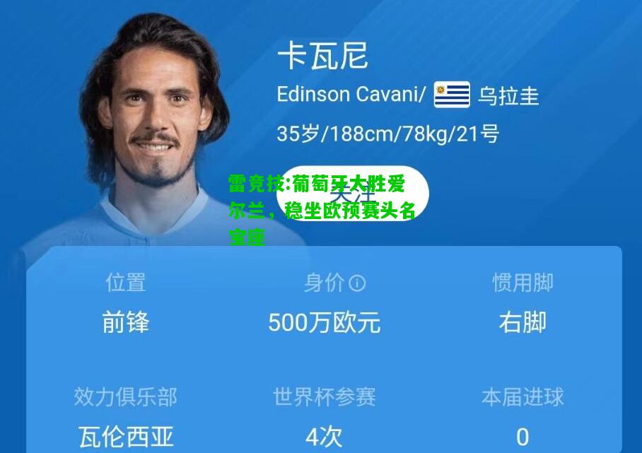 雷竞技:葡萄牙大胜爱尔兰，稳坐欧预赛头名宝座