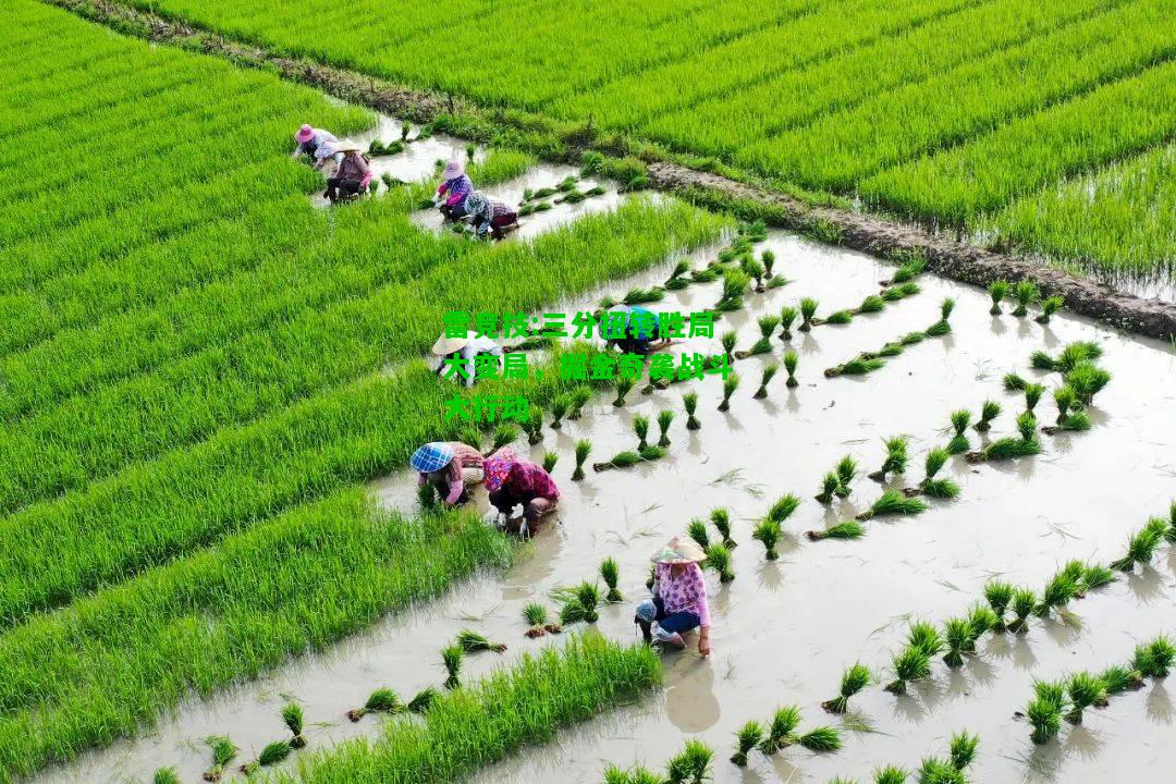 雷竞技:三分扭转胜局大变局，掘金奇袭战斗大行动