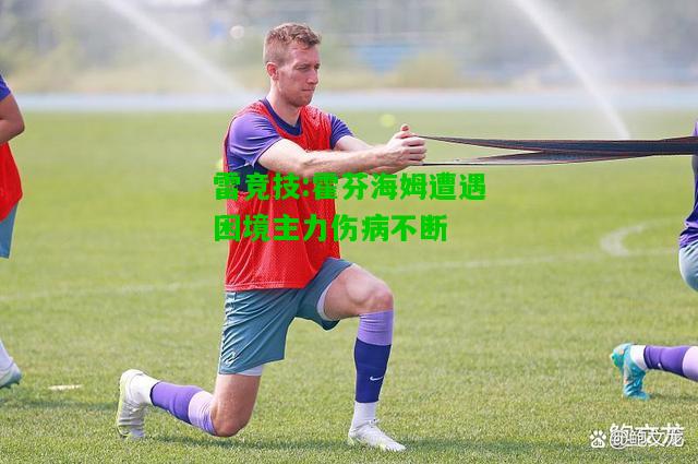 雷竞技:霍芬海姆遭遇困境主力伤病不断