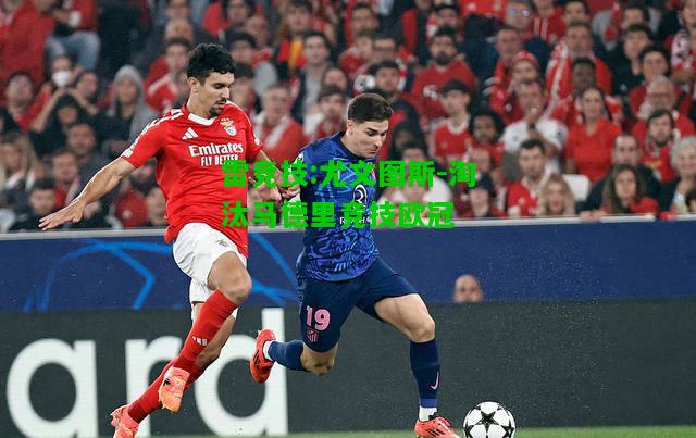 雷竞技:尤文图斯-淘汰马德里竞技欧冠
