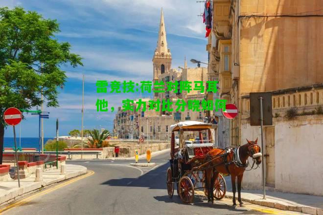 雷竞技:荷兰对阵马耳他，实力对比分晓如何
