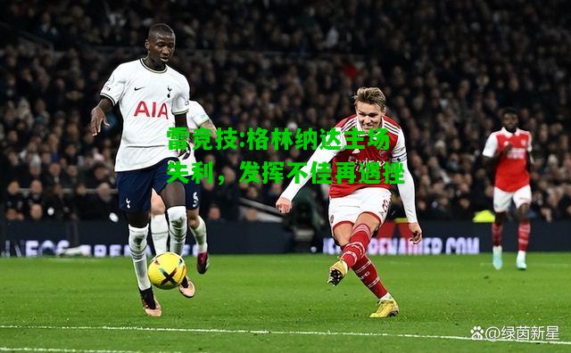 雷竞技:格林纳达主场失利，发挥不佳再遇挫