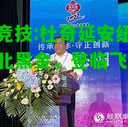 雷竞技:杜奇延安纽堡败北黑金，登临飞升