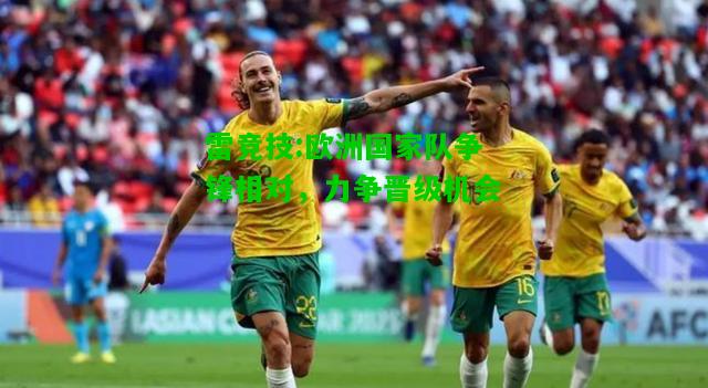 雷竞技:欧洲国家队争锋相对，力争晋级机会