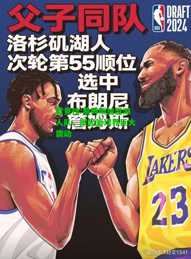 雷竞技:詹姆斯加盟湖人队，掀起篮球界巨大震动