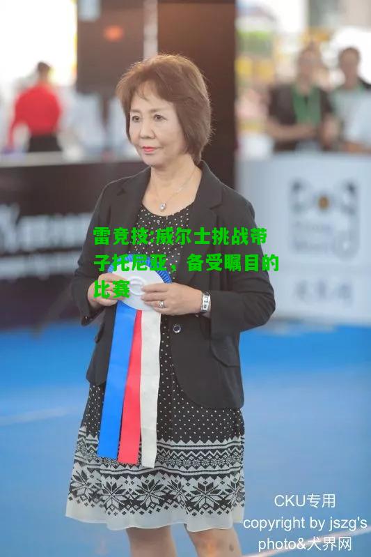 雷竞技:威尔士挑战带子托尼亚，备受瞩目的比赛