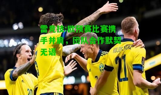 雷竞技:欧预赛比赛携手并肩，团队合作默契无语