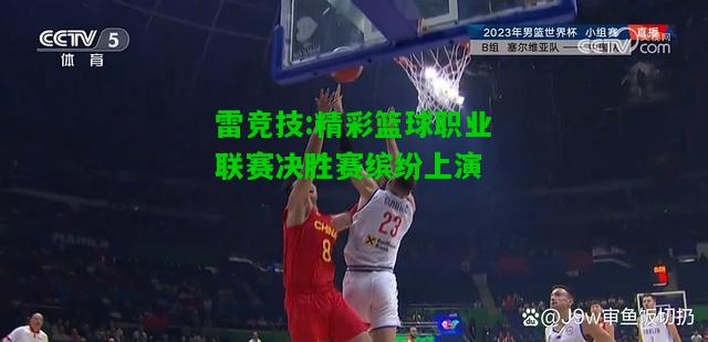 雷竞技:精彩篮球职业联赛决胜赛缤纷上演