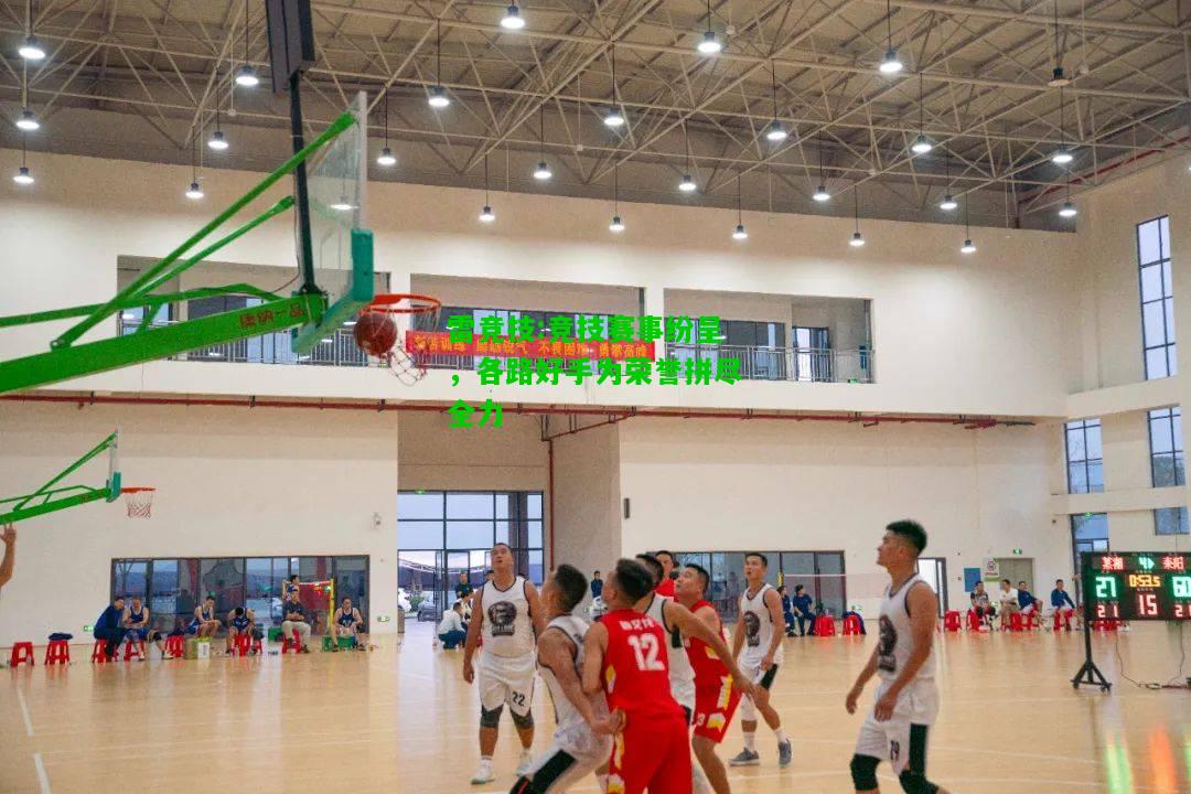 雷竞技:竞技赛事纷呈，各路好手为荣誉拼尽全力