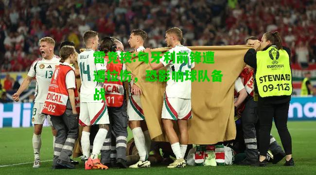 雷竞技:匈牙利前锋遭遇拉伤，恐影响球队备战