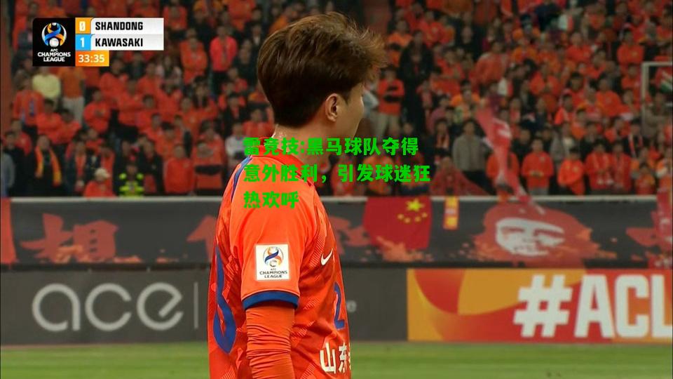 雷竞技:黑马球队夺得意外胜利，引发球迷狂热欢呼