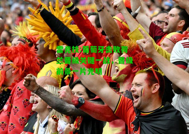 雷竞技:葡萄牙击败荷兰晋级关键一战，晋级前景一片光明