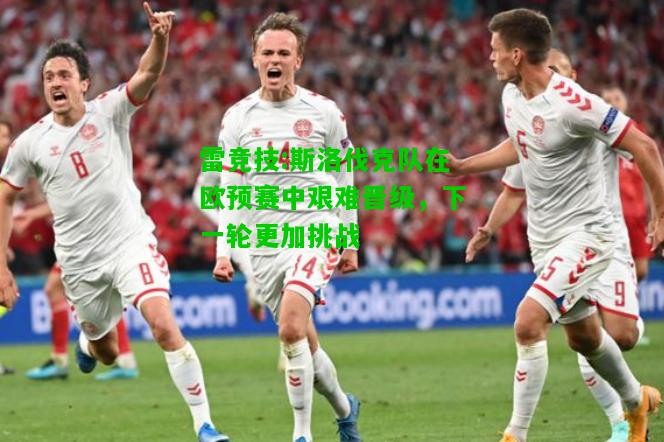 雷竞技:斯洛伐克队在欧预赛中艰难晋级，下一轮更加挑战