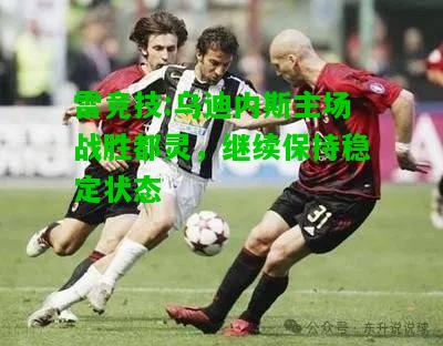 雷竞技:乌迪内斯主场战胜都灵，继续保持稳定状态