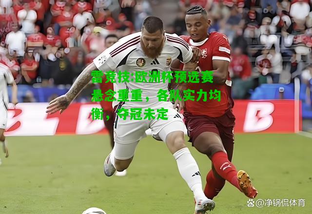 雷竞技:欧洲杯预选赛悬念重重，各队实力均衡，夺冠未定