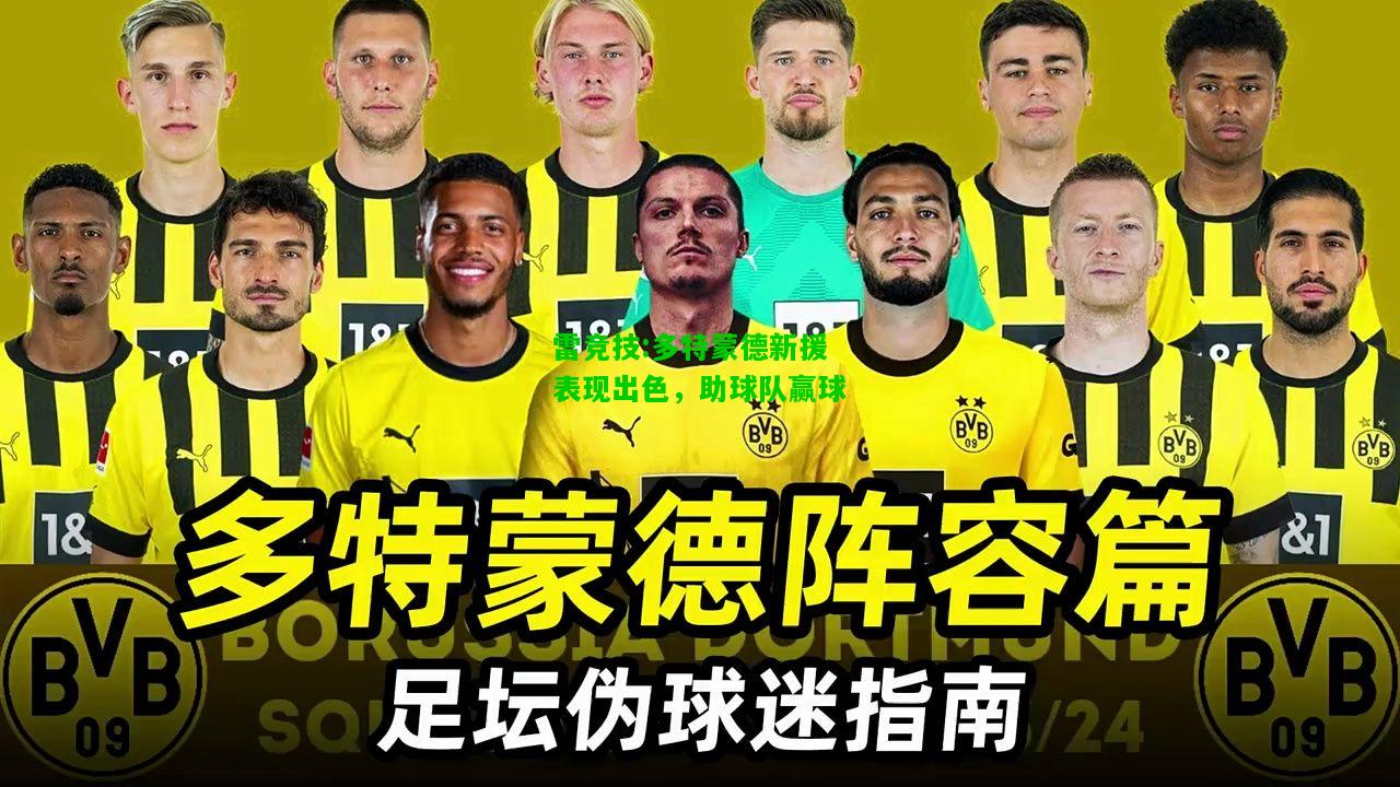 雷竞技:多特蒙德新援表现出色，助球队赢球