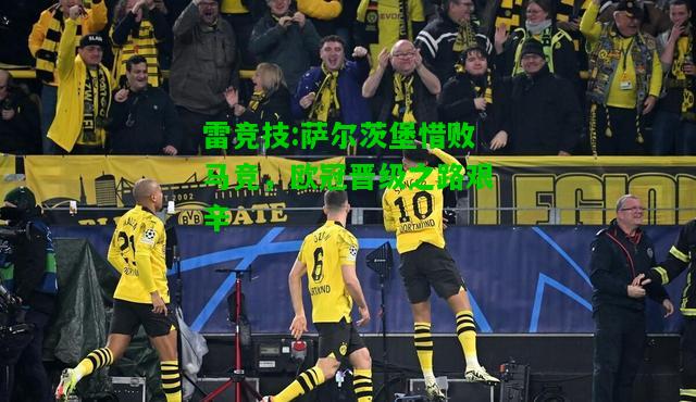 雷竞技:萨尔茨堡惜败马竞，欧冠晋级之路艰辛