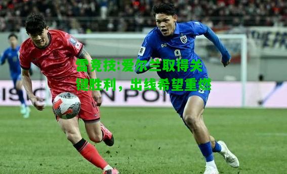 雷竞技:爱尔兰取得关键胜利，出线希望重燃