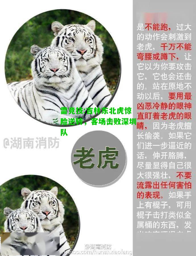 雷竞技:吉林东北虎惊险逆转，客场击败深圳队