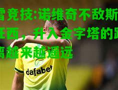 雷竞技:诺维奇不敌斯旺西，升入金字塔的距离越来越遥远