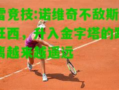 雷竞技:诺维奇不敌斯旺西，升入金字塔的距离越来越遥远