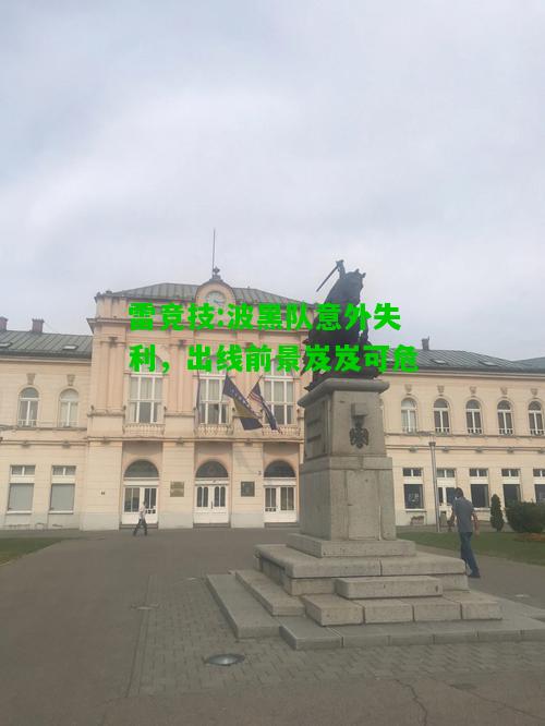 雷竞技:波黑队意外失利，出线前景岌岌可危
