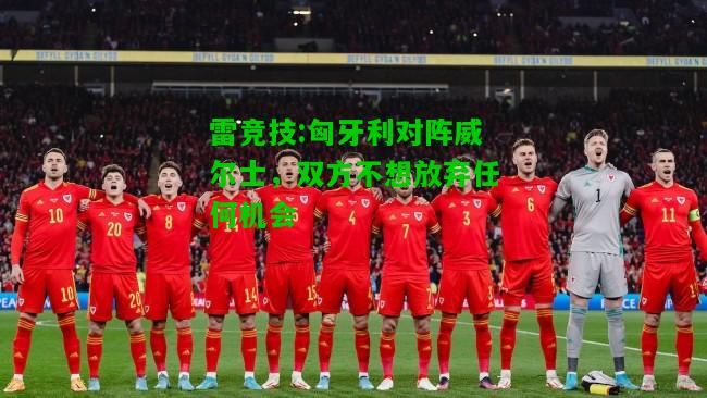 雷竞技:匈牙利对阵威尔士，双方不想放弃任何机会